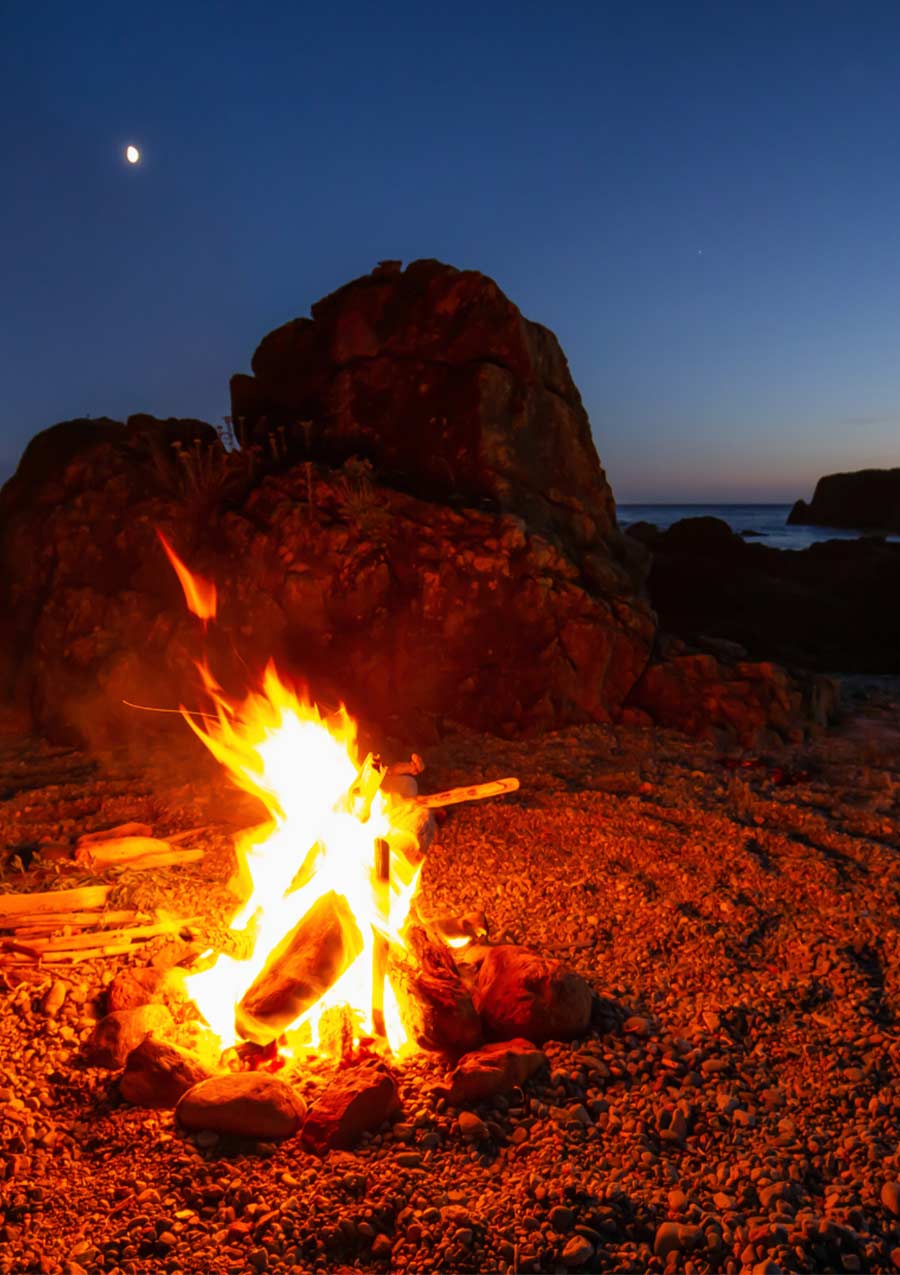 Wild Coast wild-coast